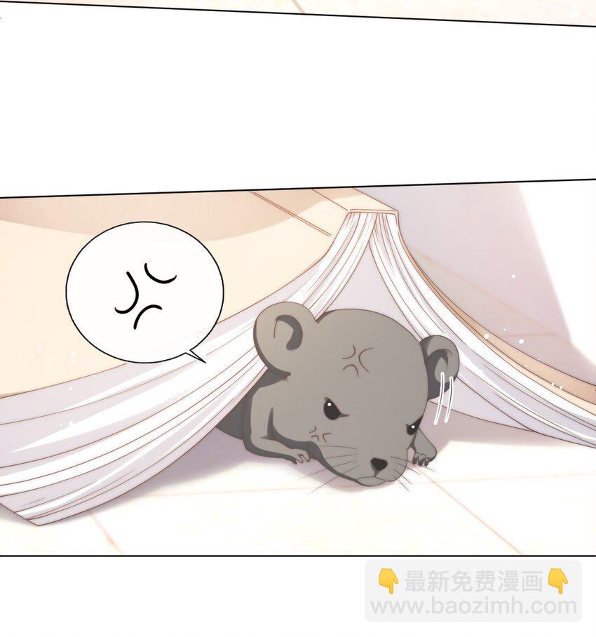 007 有老鼠！-第7话