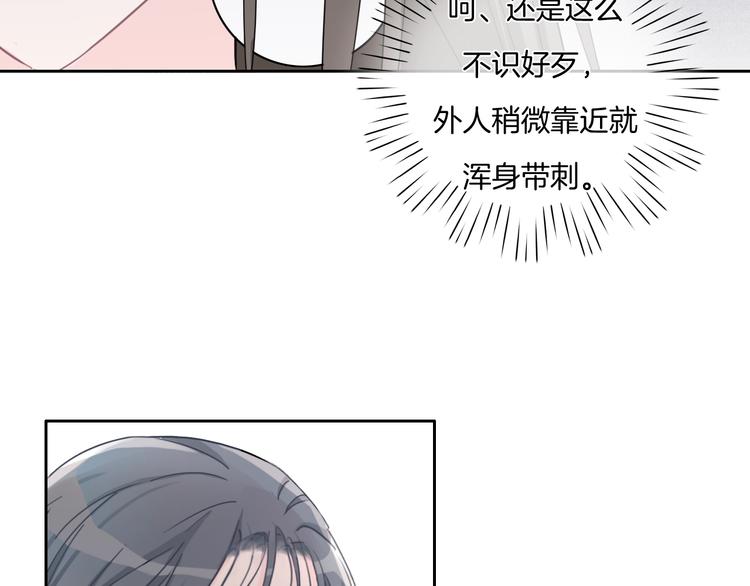 第20话 我不能让你被欺负(1/3)-第21话