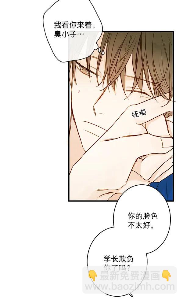 🍛青苹果乐园 第31话 第40页