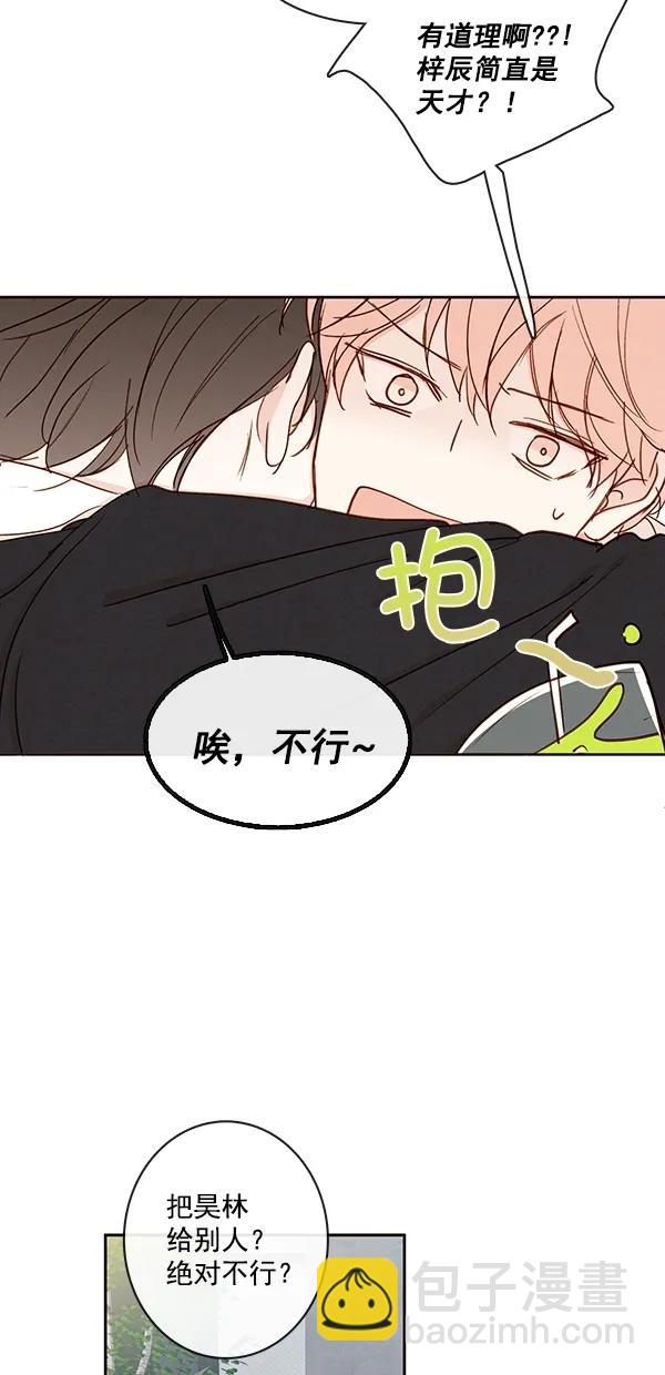 🍛青苹果乐园 [第二季] 第45话 第44页