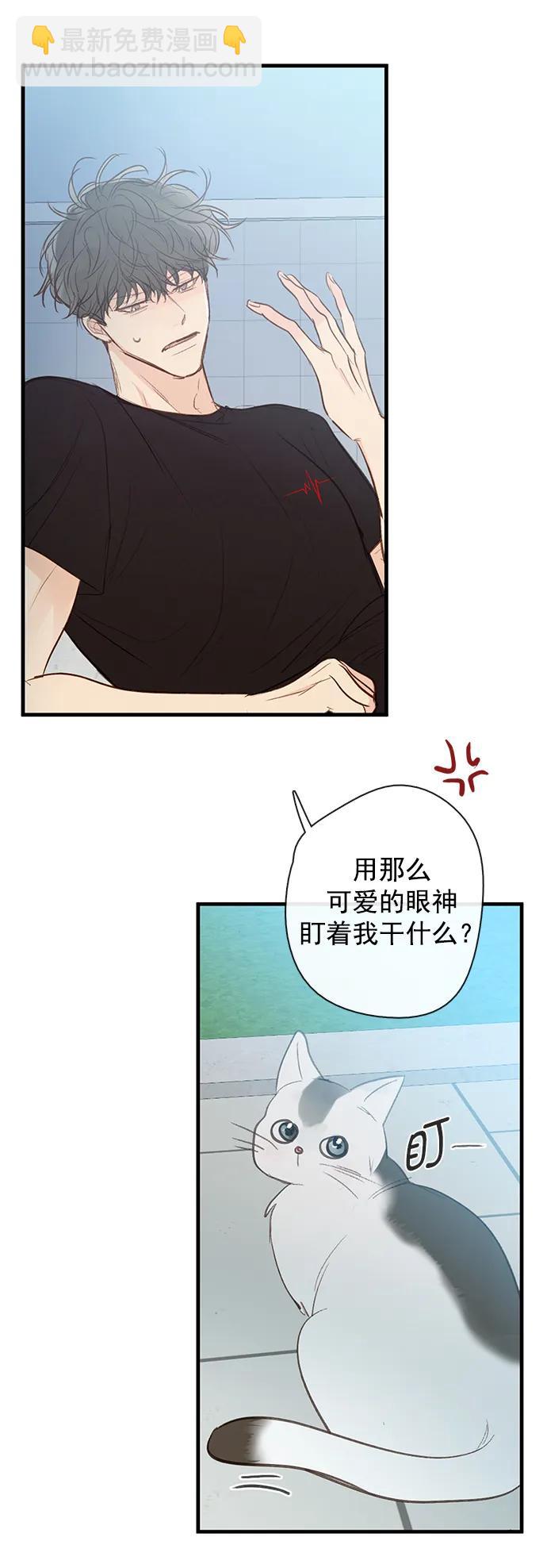 🍛青苹果乐园_第三季 第28话 第41页