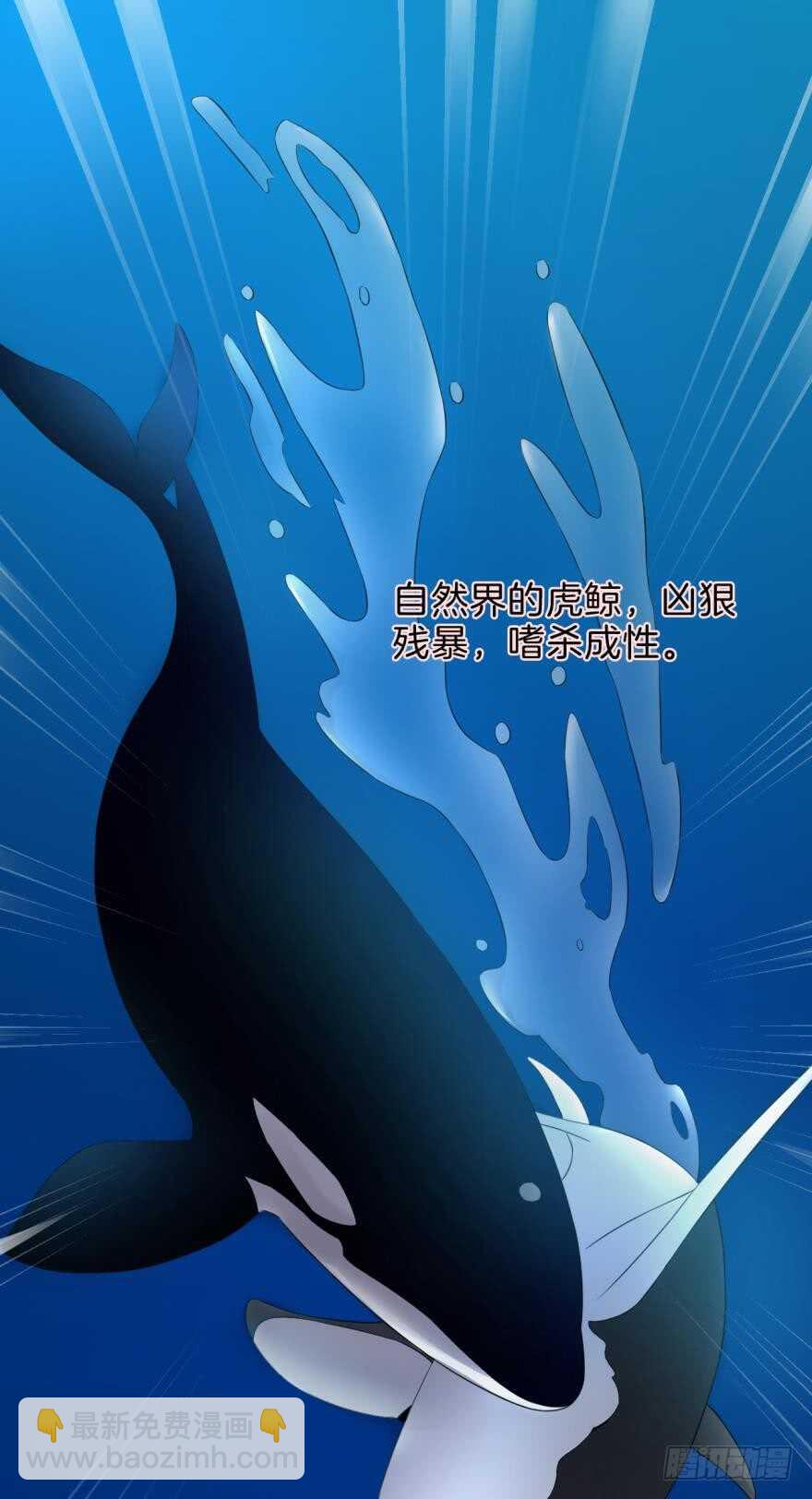 158话：虎鲸，杀手鲸(1/2)-第161话