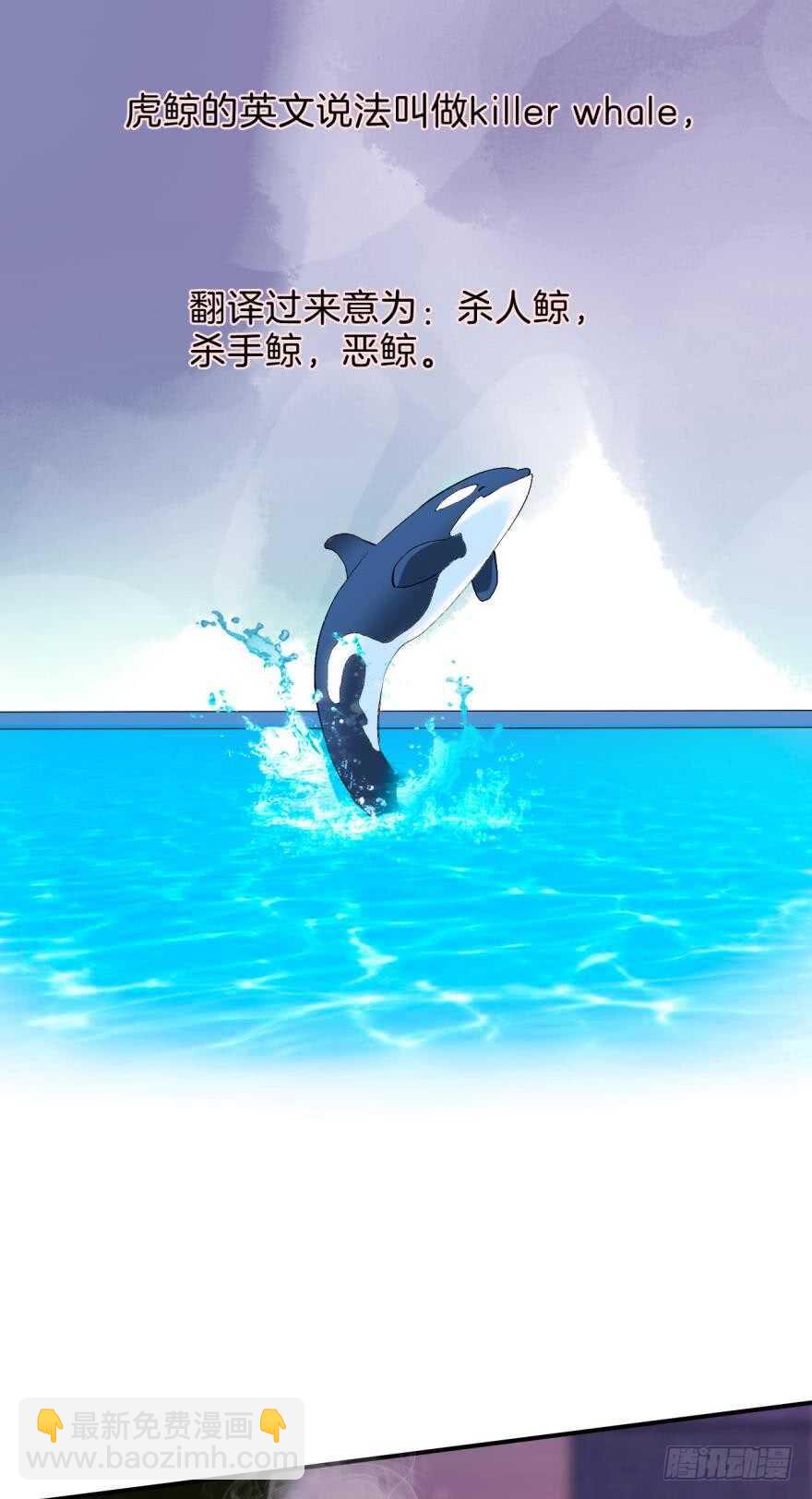 158话：虎鲸，杀手鲸(1/2)-第161话