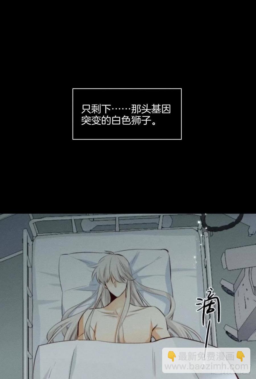 207话：破碎梦境-第217话