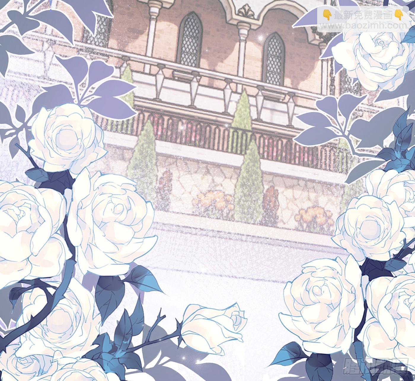 Ch.219 婚礼&middot;此时此刻(1/2)-第235话