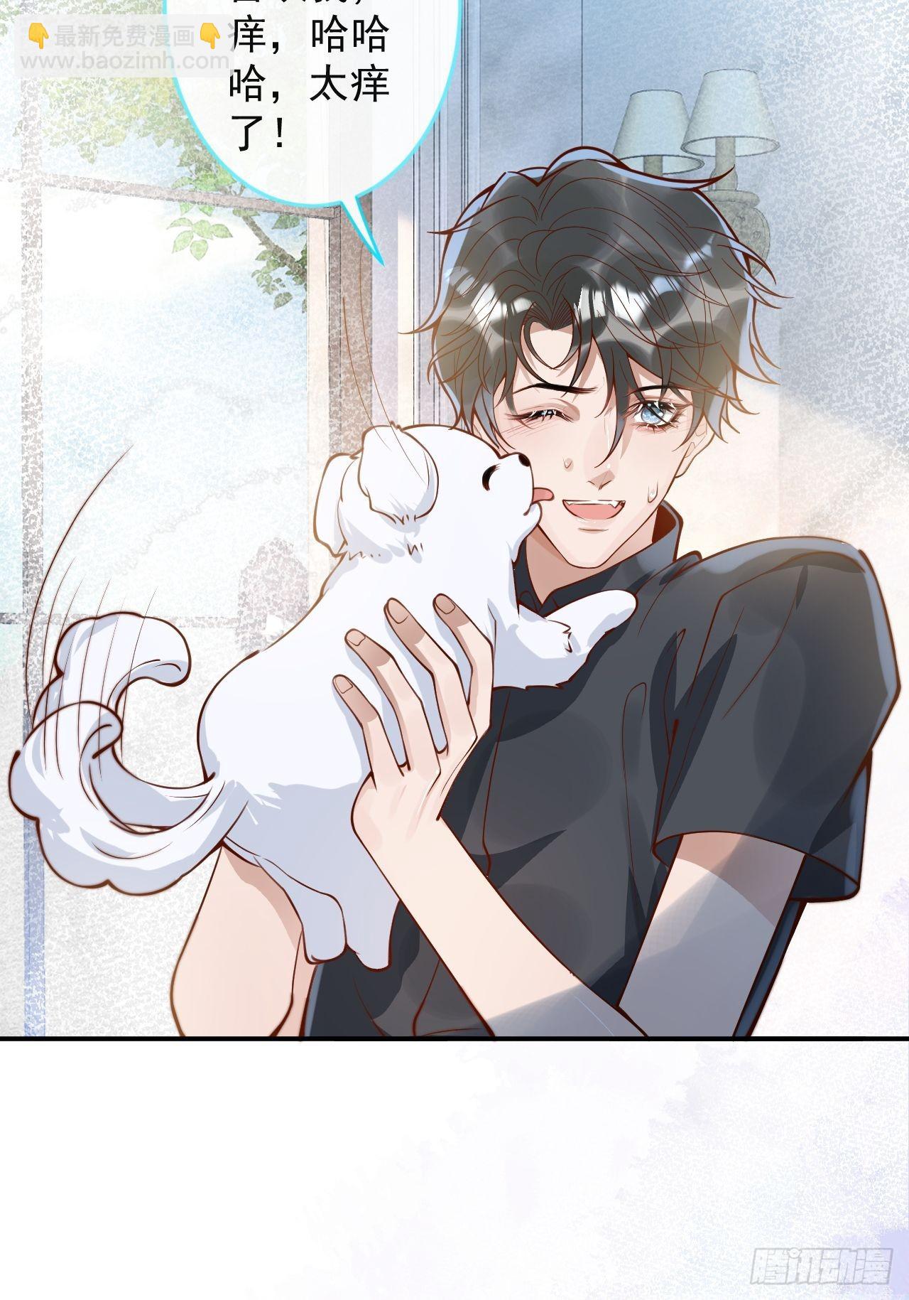 43-小狗还是美人？(1/2)-第45话