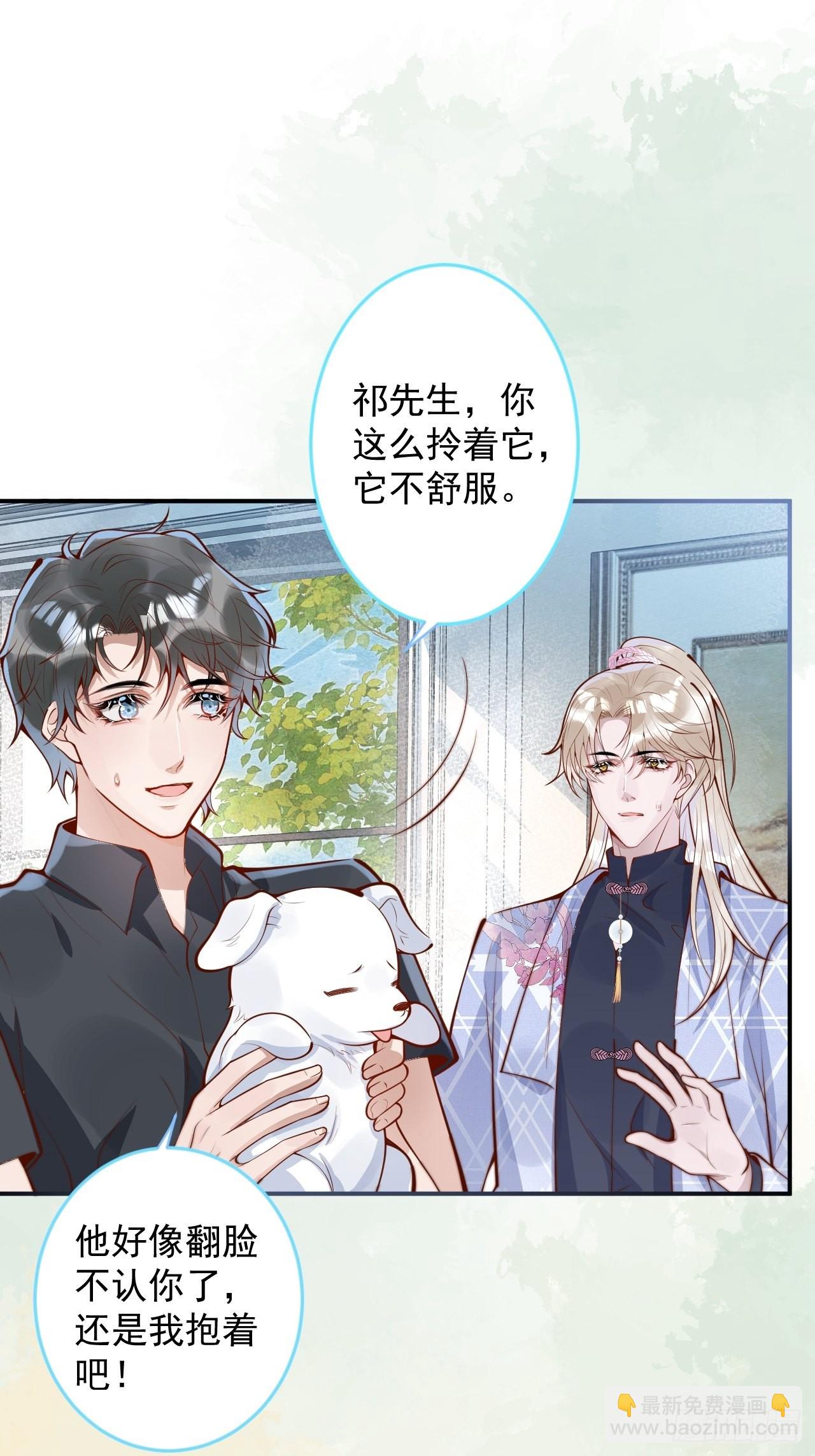 43-小狗还是美人？(1/2)-第45话