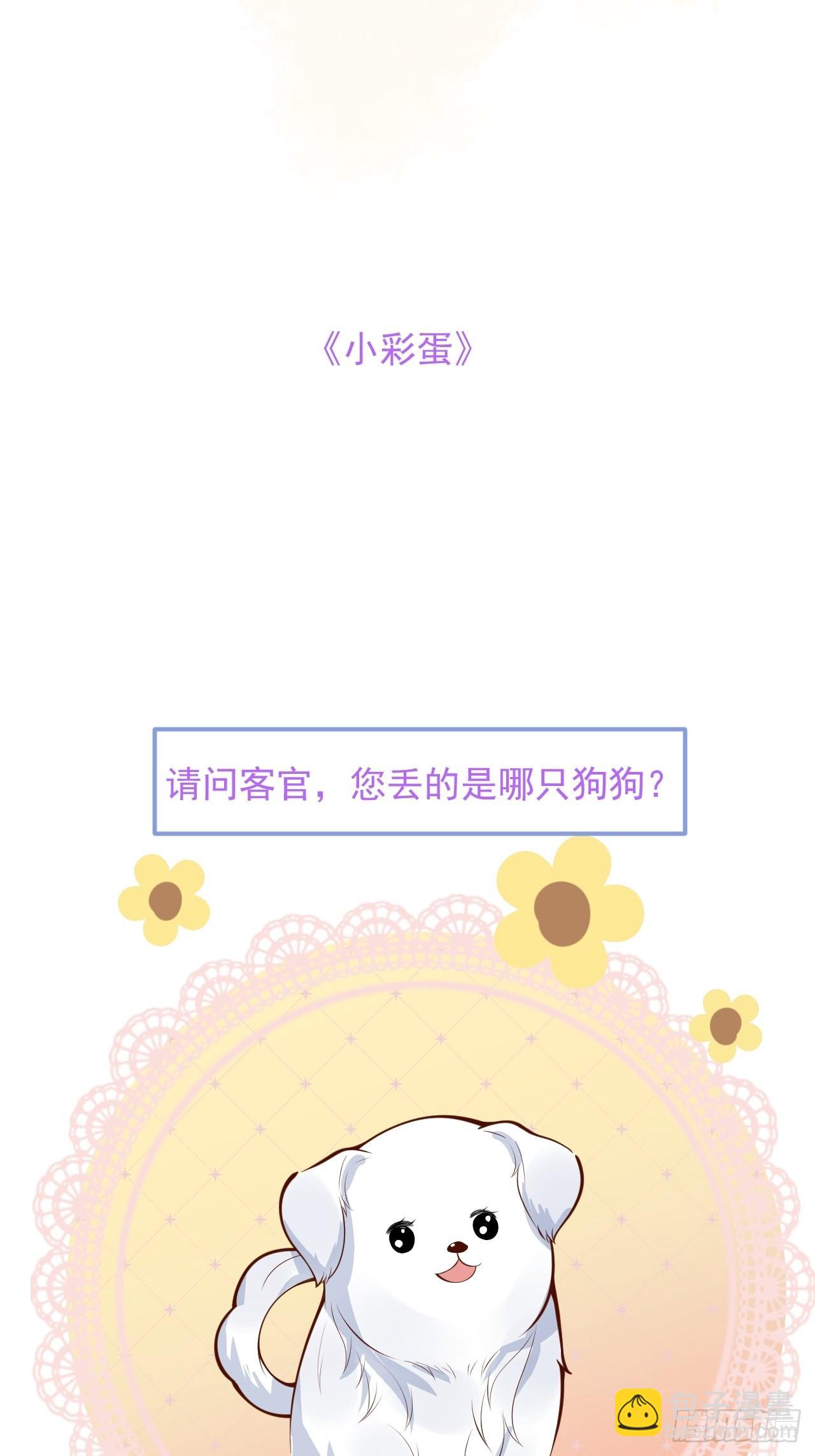 43-小狗还是美人？(1/2)-第45话