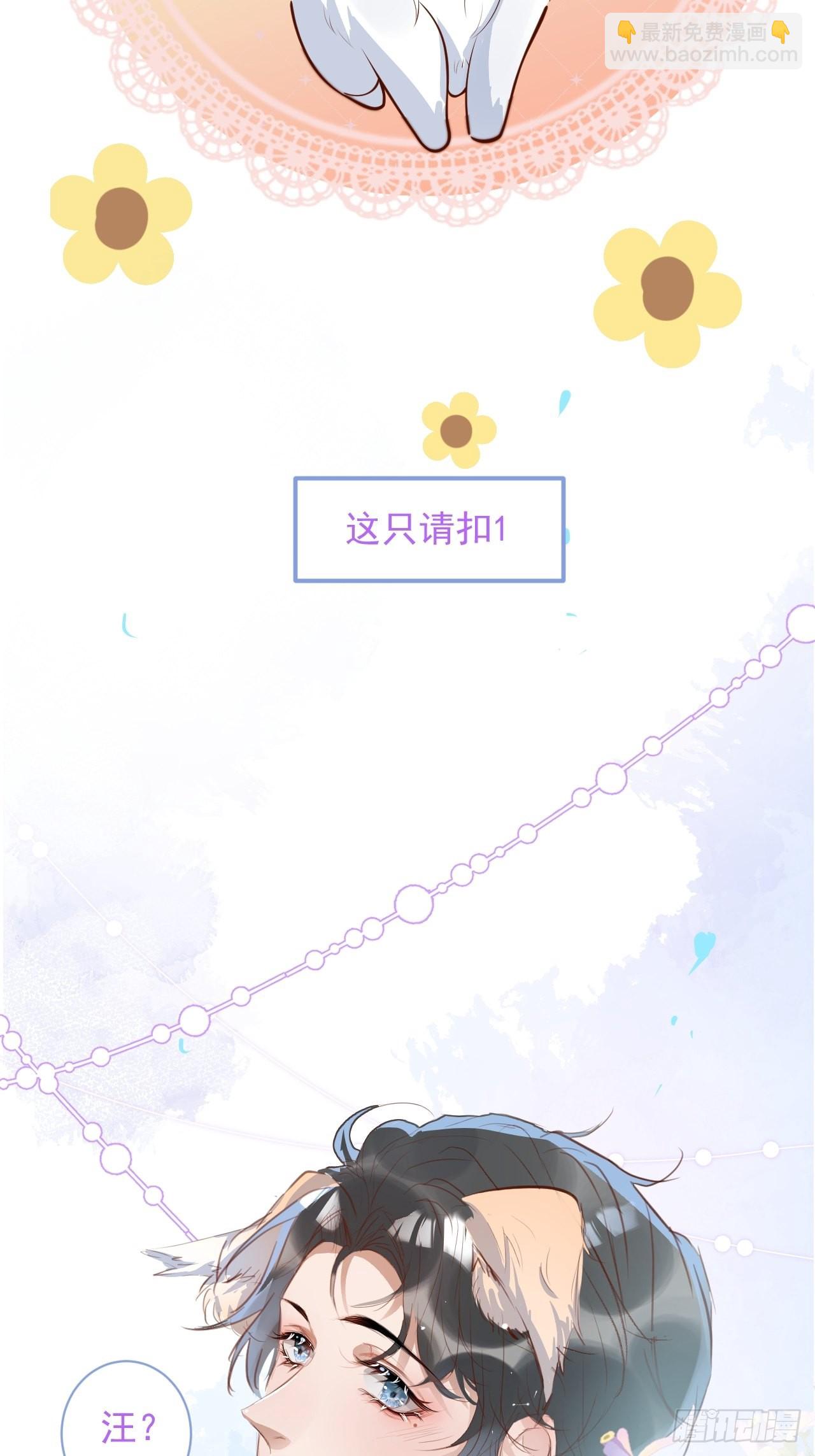 43-小狗还是美人？(1/2)-第45话