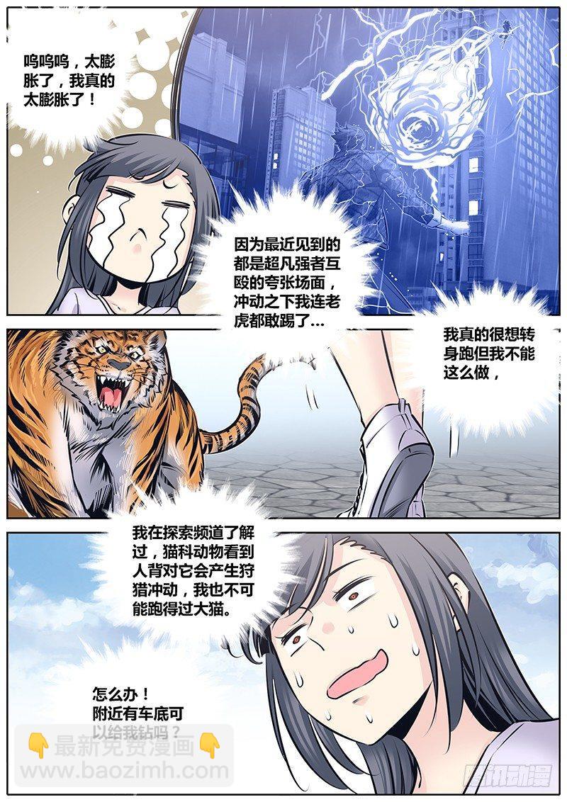 🍛秦侠 224.大猫 第10页