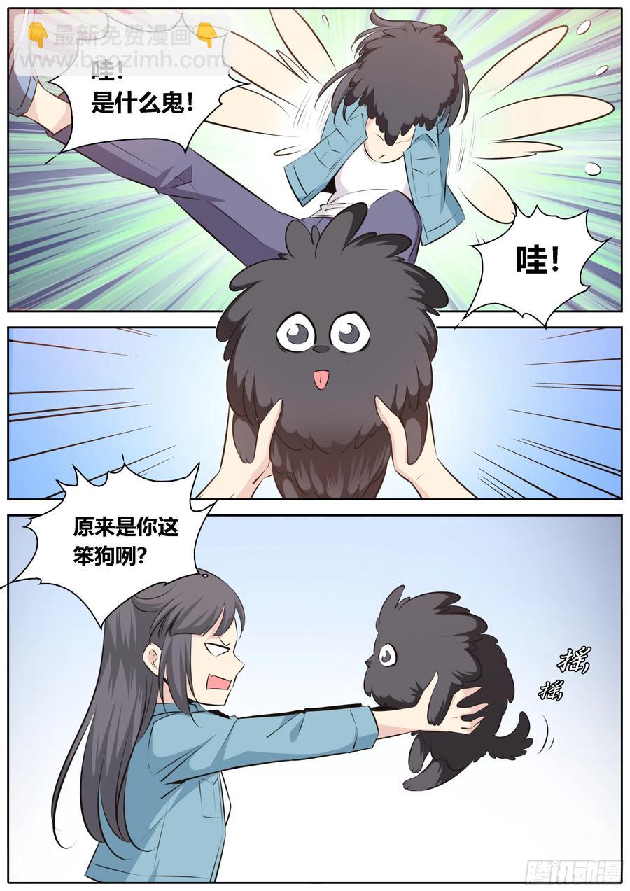 🍛秦侠 350.狭路相逢智者溜 第8页