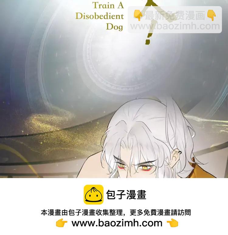 新作《将军，小心恶犬！》(1/2)-第113话