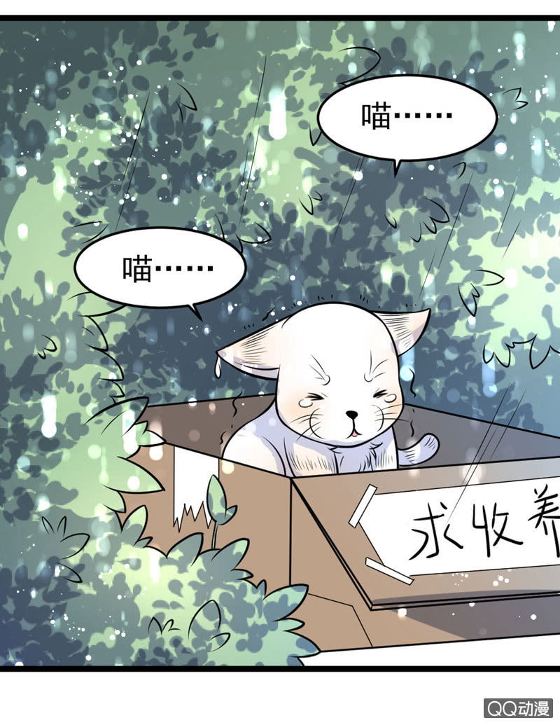 与你的偶遇-第51话