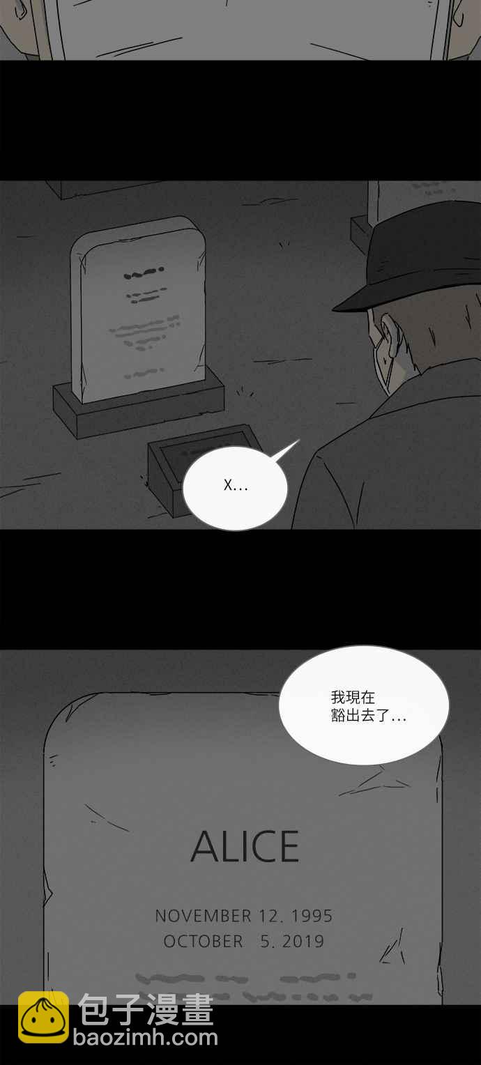 🍛奇奇怪怪 [第268话] 整形鬼 2 第21页