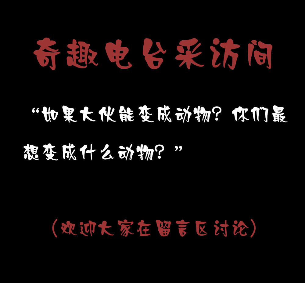第11话 鼠辈（上）-第21话