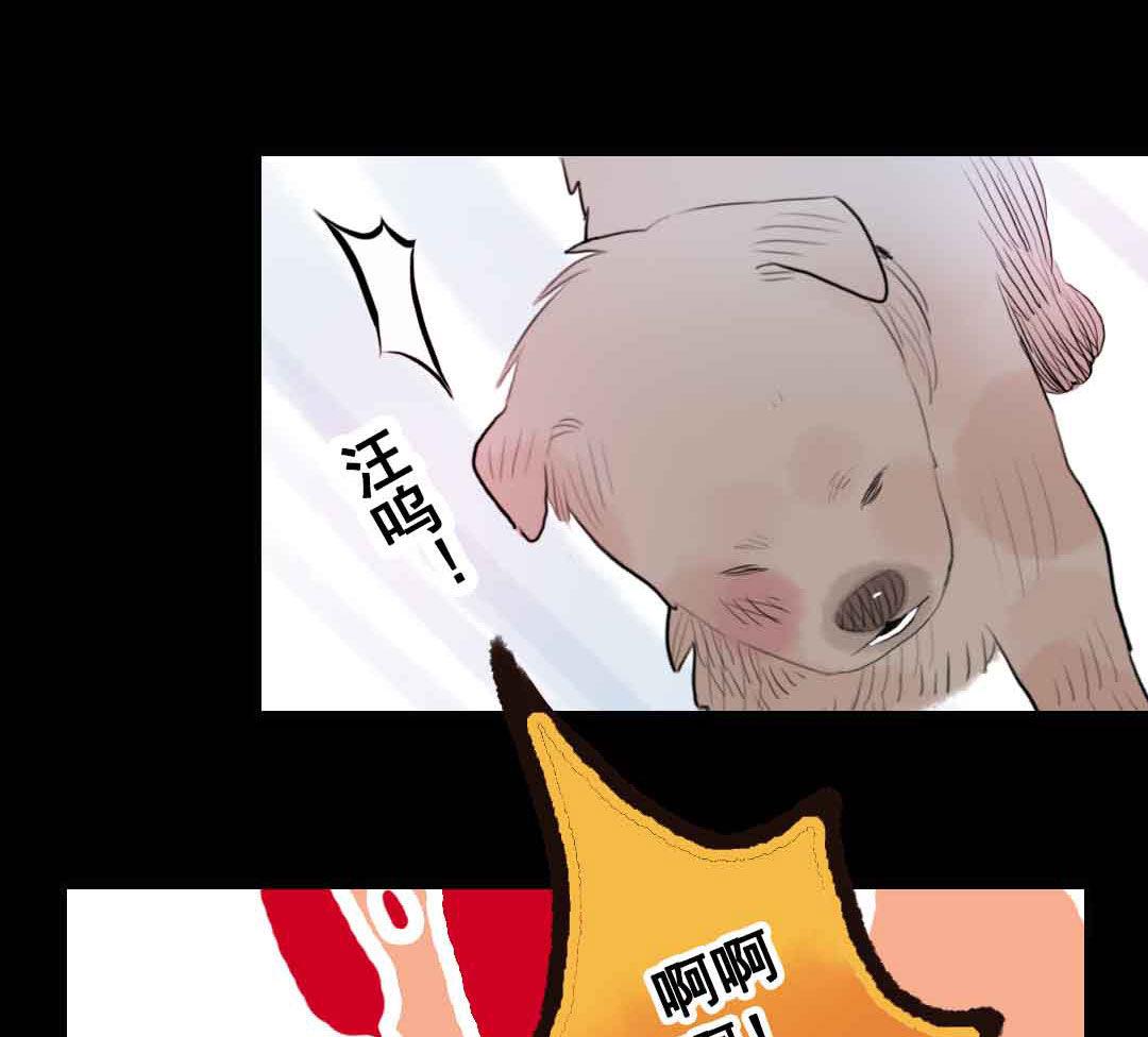 第3话 当年在村头撒野的小哥 下(1/2)-第5话