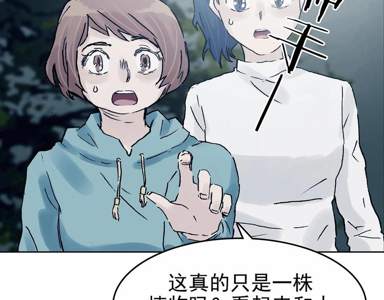 第41话 生长的美少年（二）(1/4)-第41话