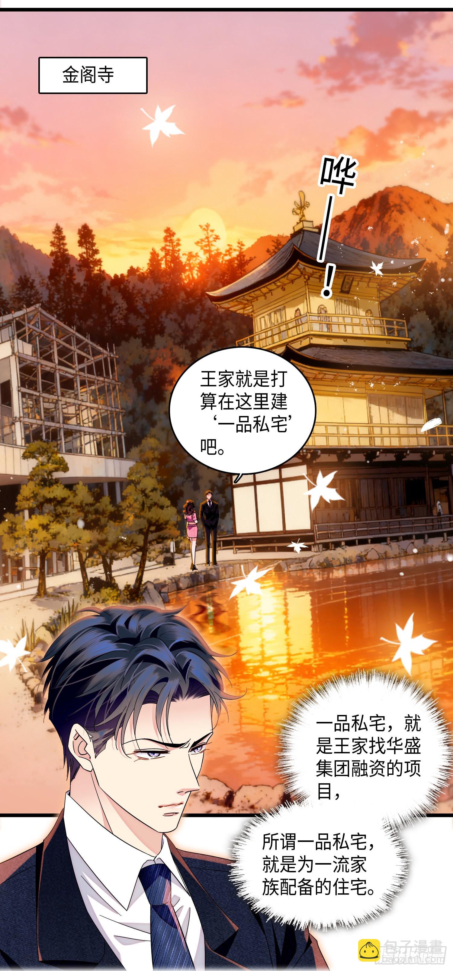 17 赘婿再回王宅-第19话