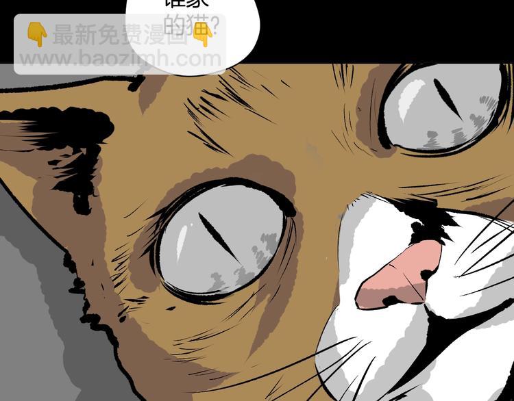 第6话 猫的报恩（1）(1/3)-第7话