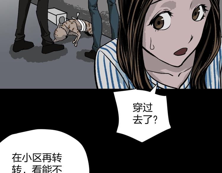 第8话 猫的报恩（3）(1/3)-第9话