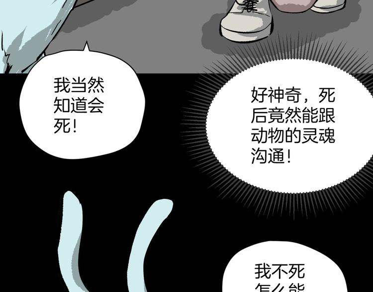第8话 猫的报恩（3）(1/3)-第9话