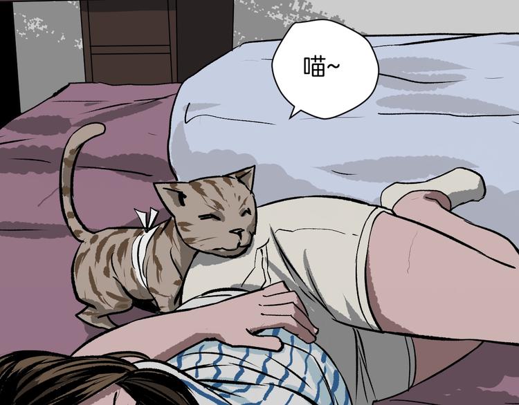 第8话 猫的报恩（3）(1/3)-第9话