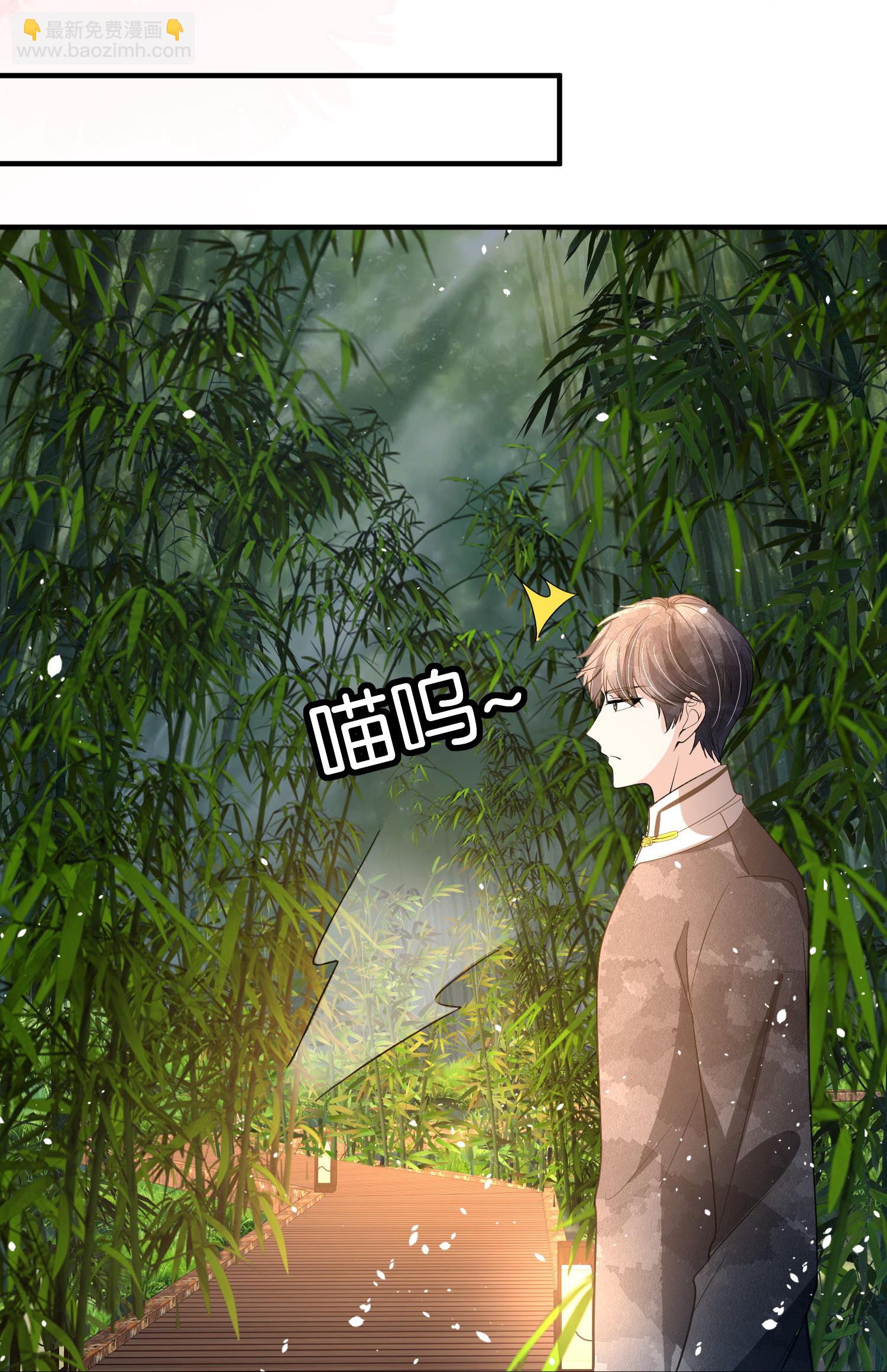 🍛契约冷妻不好惹 第303话 别样的晚餐 第38页