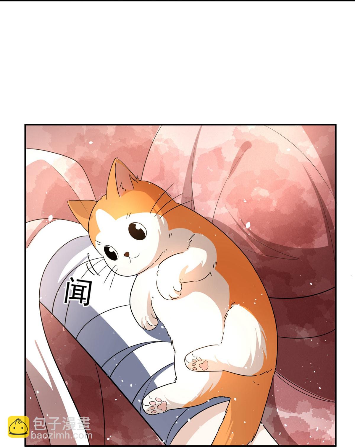 🍛契约冷妻不好惹 第305话 可爱的小猫咪 第10页