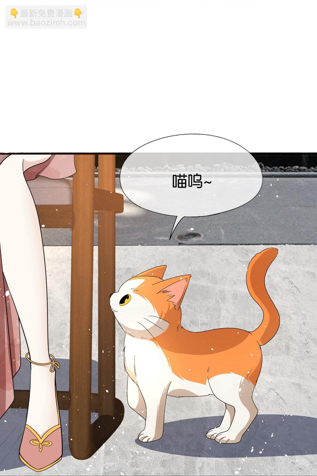 🍛契约冷妻不好惹 第305话 可爱的小猫咪 第21页