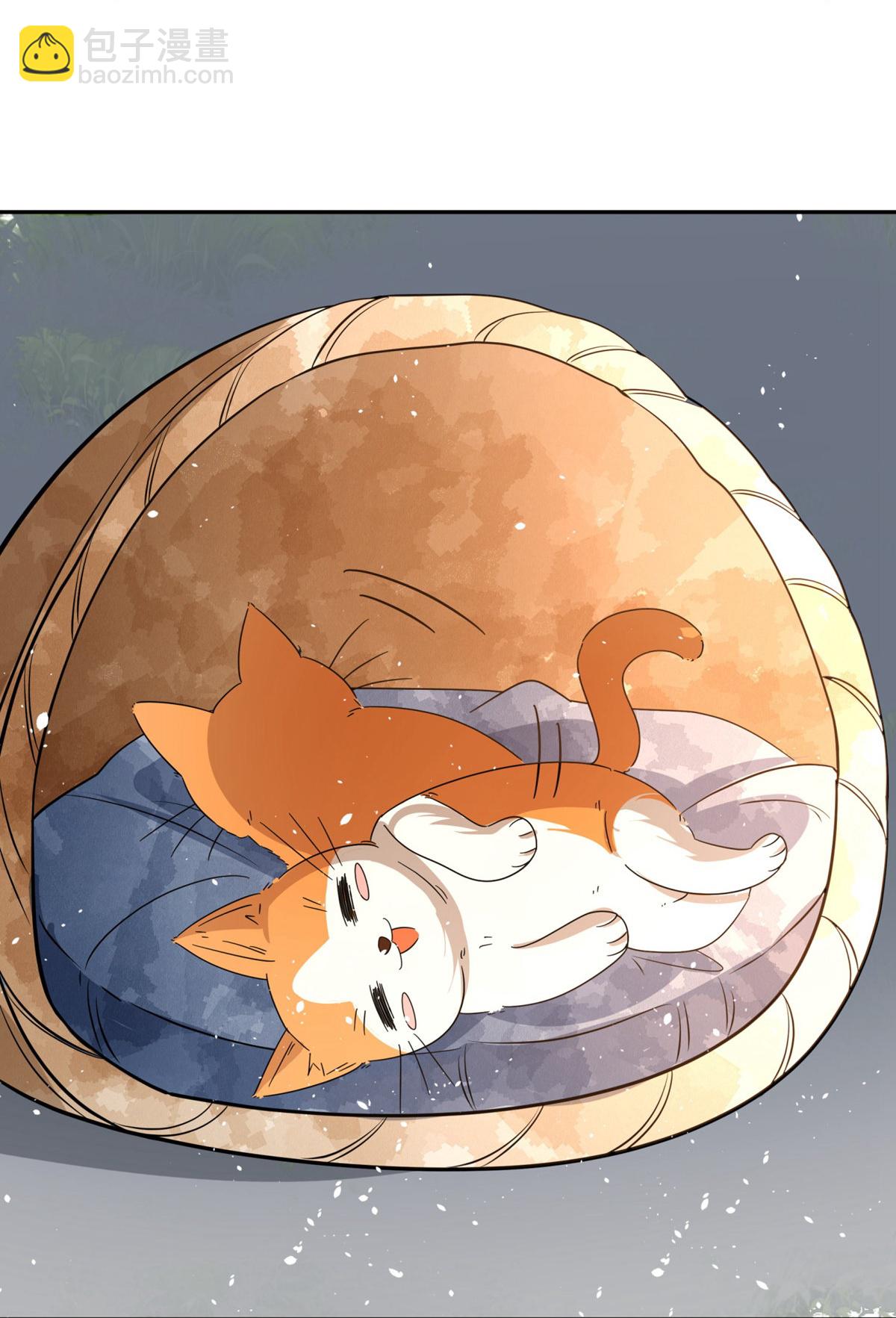 🍛契约冷妻不好惹 第305话 可爱的小猫咪 第30页