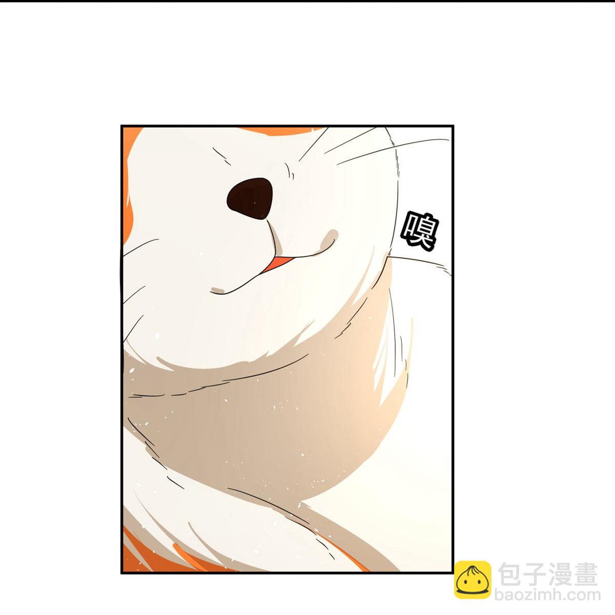 🍛契约冷妻不好惹 第305话 可爱的小猫咪 第31页