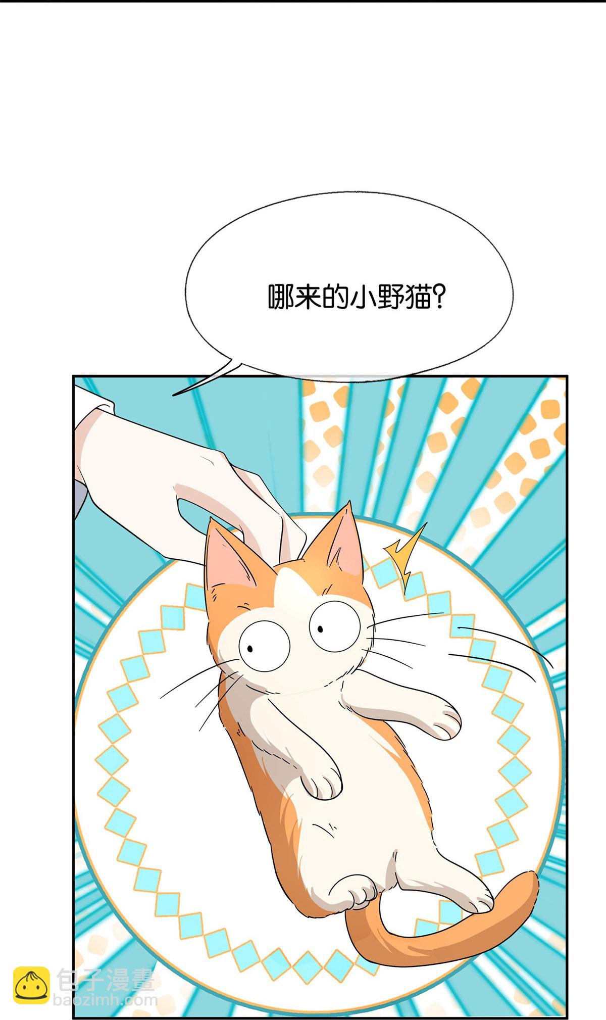 🍛契约冷妻不好惹 第305话 可爱的小猫咪 第7页