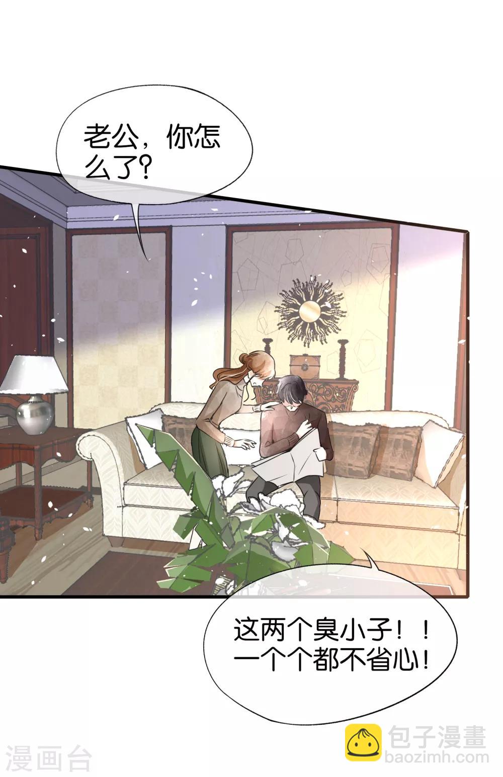 🍛契约冷妻不好惹 第57话 诗夏替厉景衍挨打 第14页