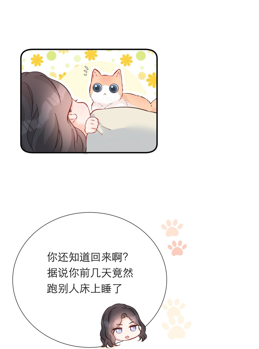 040 礼物-第41话