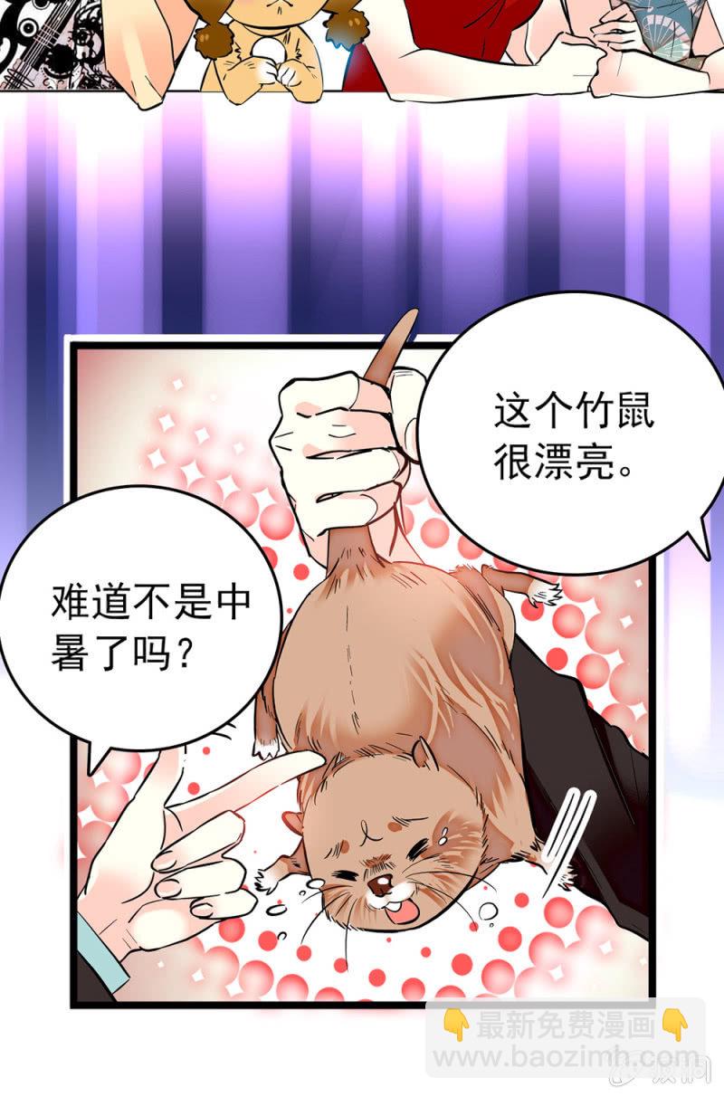 第172话 危机四伏！镜头争夺赛-第173话