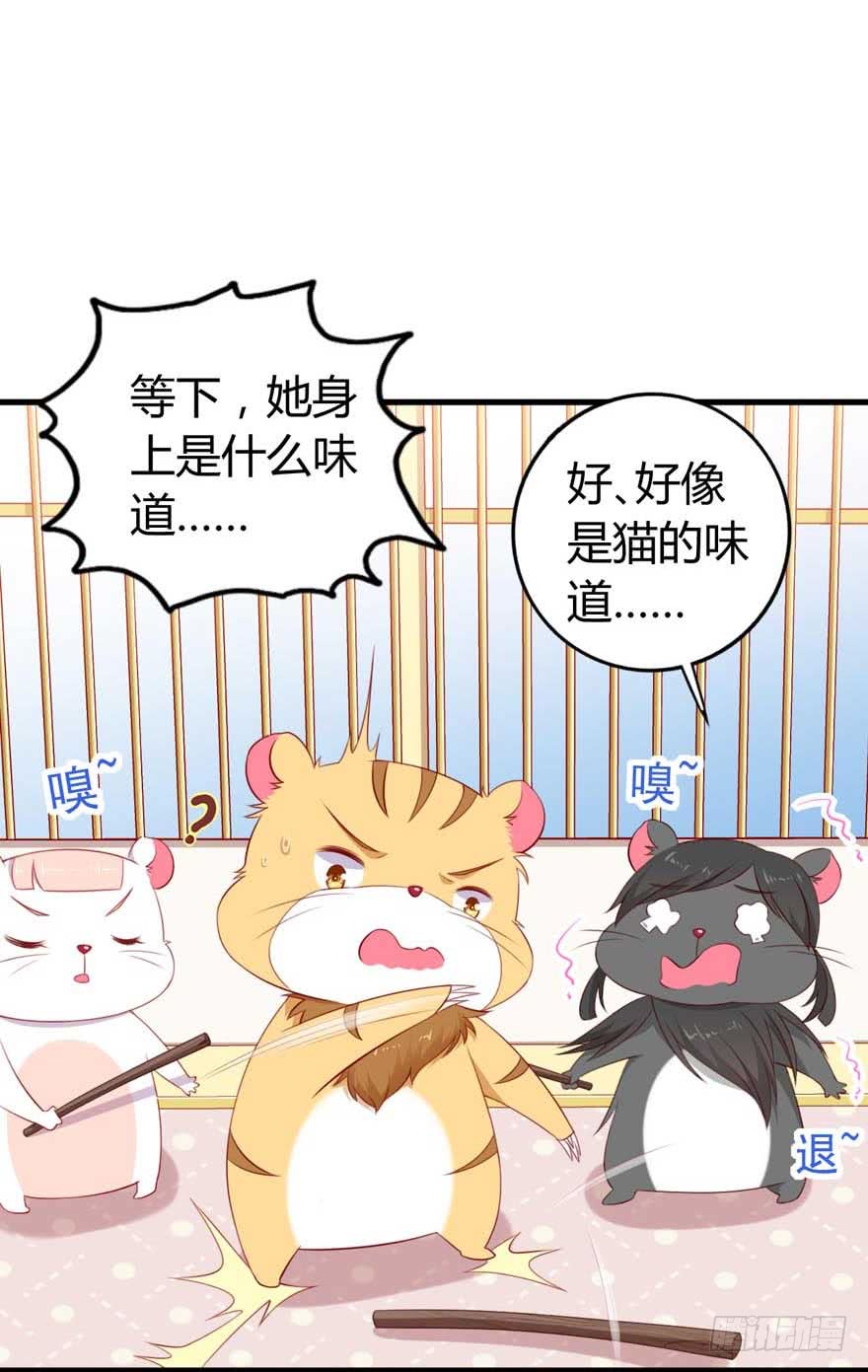 第10话 谁的裤腰带-第13话