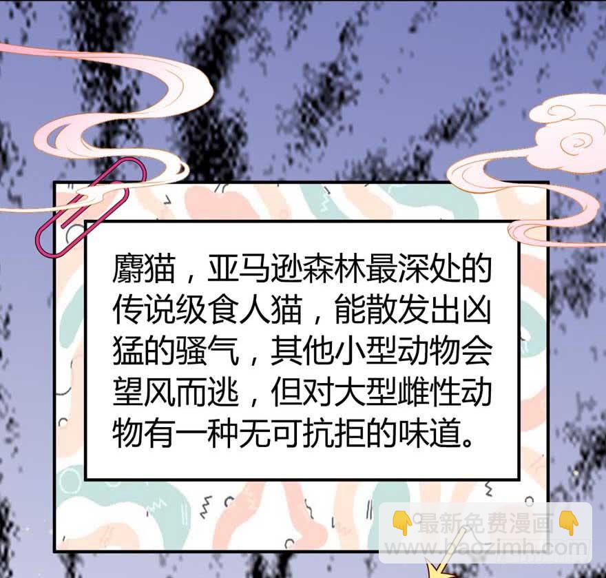 第10话 谁的裤腰带-第13话