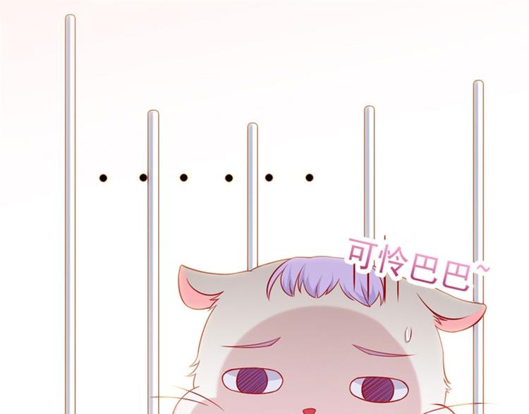 第2话 吱，我变成了仓鼠？！(1/2)-第3话
