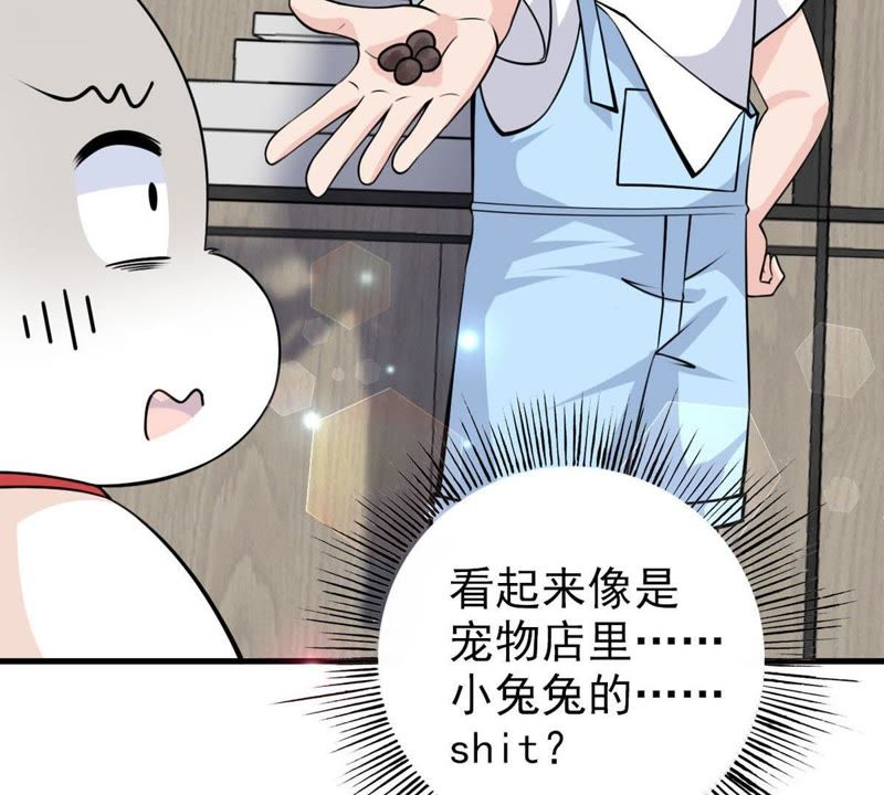 第30话 仙豆粑粑(1/2)-第33话