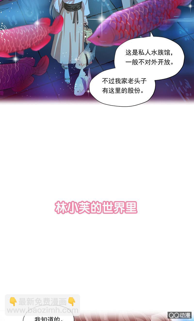 预告-第1话