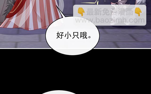 第20话 白嫖一只狼崽(1/3)-第23话