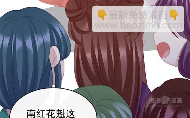 第26话 可怜的小毛团(1/3)-第29话