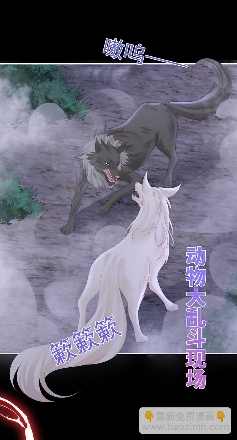 第111话 又来两只美狼！-第115话