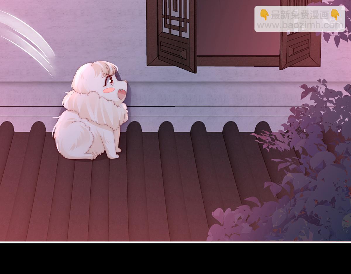 39 你有别的狗了(1/3)-第43话