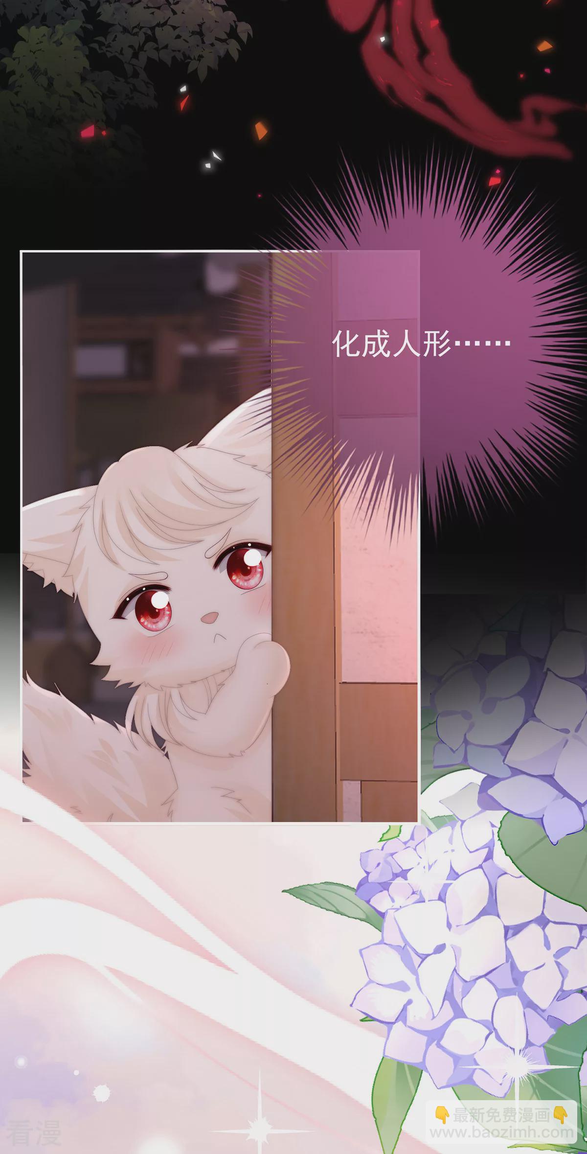 第83话 我愿意等她醒来-第87话