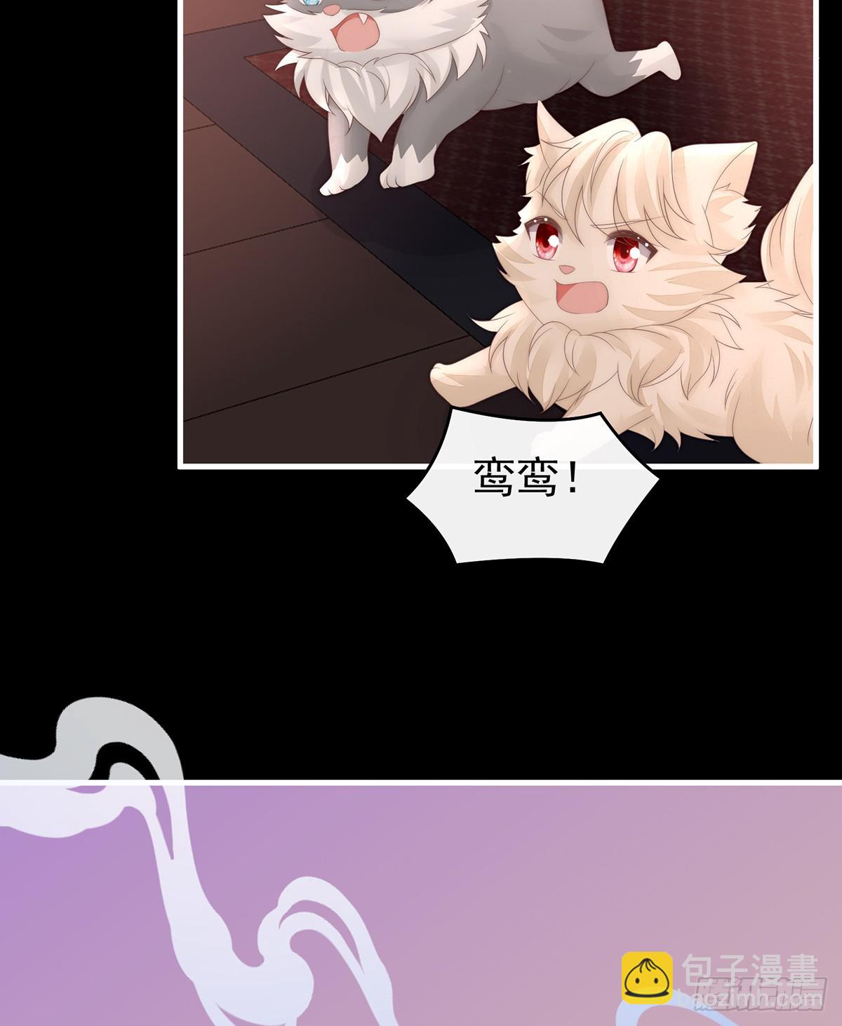 不要再打了啦！(1/2)-第107话
