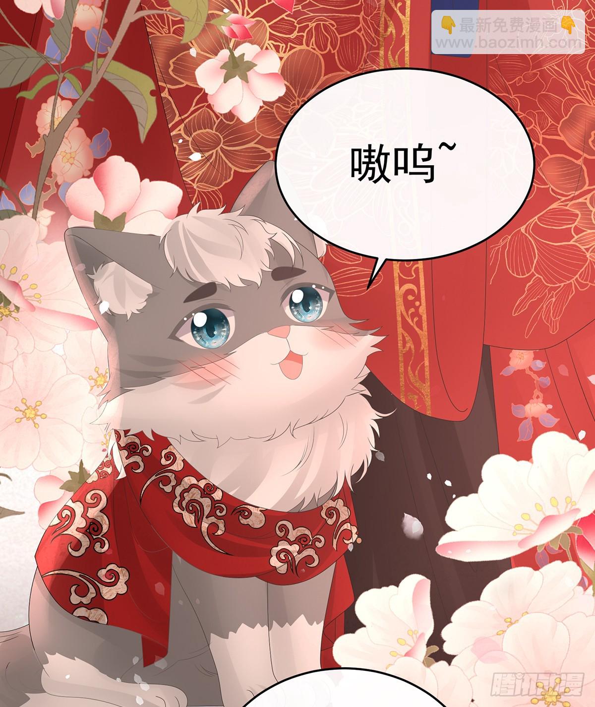 天喜红鸾 上(1/2)-第147话