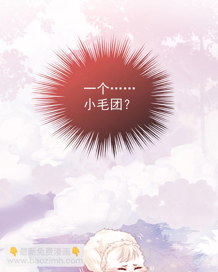 第26话 可怜的小毛团(1/2)-第29话
