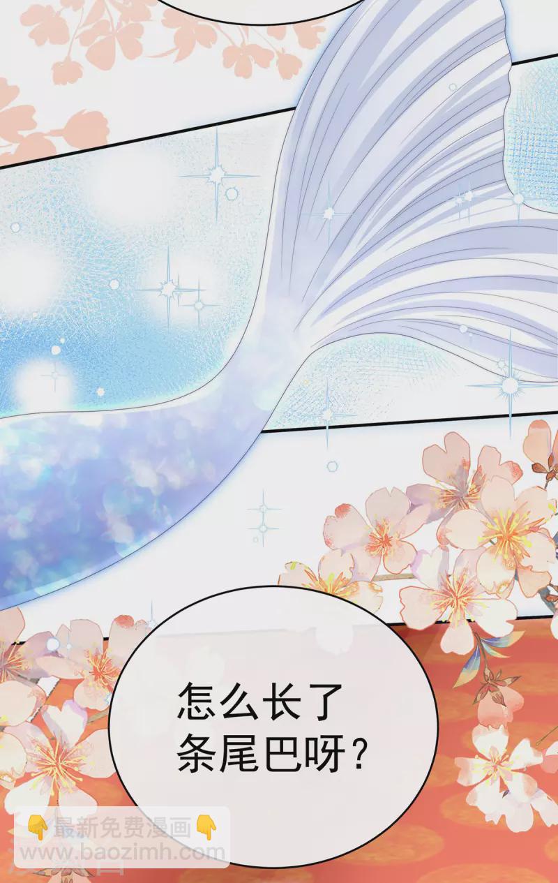 第51话 鲛人现身-第55话