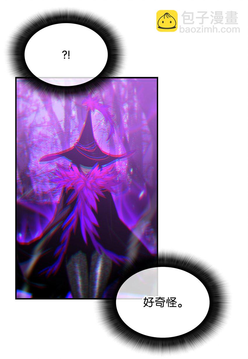 71 奇怪的魔法师(1/3)-第71话